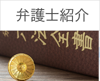 lawyer